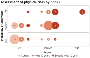 Assessment of physical risks by banks